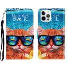 For iPhone 13 Pro Max 3D Colored Drawing Horizontal Flip Leather Phone Case (Underwater Cat) - 1