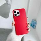 For iPhone 12 / 12 Pro Frosted PC + TPU Phone Case(Red) - 1