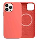 For iPhone 13 WiWU Magsafe Magnetic Silicone Phone Case(Pink Pomelo) - 1