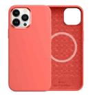 For iPhone 13 Pro WiWU Magsafe Magnetic Silicone Phone Case (Pink Pomelo) - 1