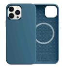 For iPhone 13 Pro Max WiWU Magsafe Magnetic Silicone Phone Case (Blue Jay) - 1