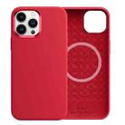 For iPhone 13 Pro Max WiWU Magsafe Magnetic Silicone Phone Case (Red) - 1