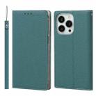 For iPhone 13 Pro Litchi Texture Genuine Leather Phone Case With Lanyard & Holder & Card Slots & Wallet (Sky Blue) - 1