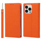 For iPhone 13 Pro Max Litchi Texture Genuine Leather Phone Case With Lanyard & Holder & Card Slots & Wallet (Orange) - 1