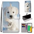 For Samsung Galaxy A03 Core Coloured Drawing Cross Texture Horizontal Flip Leather Phone Case with Holder & Card Slots & Wallet & Lanyard(Snow Puppy) - 1