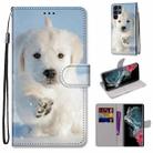 For Samsung Galaxy S22 Ultra 5G Coloured Drawing Cross Texture Horizontal Flip Leather Phone Case with Holder & Card Slots & Wallet & Lanyard(Snow Puppy) - 1