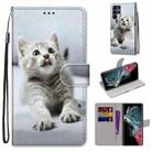 For Samsung Galaxy S22 Ultra 5G Coloured Drawing Cross Texture Horizontal Flip Leather Phone Case with Holder & Card Slots & Wallet & Lanyard(Small Grey Cat) - 1