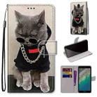 For Nokia C01 Plus Coloured Drawing Cross Texture Horizontal Flip PU Phone Leather Case with Holder & Card Slots & Wallet & Lanyard(Colorful Layer(Golden Chain Grey Cat) - 1