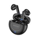 Borofone BE54 Rejoice Wireless Bluetooth Earphone(Black) - 1