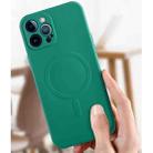 For iPhone 12 Pro Liquid Silicone Full Coverage Magsafe Phone Case(Dark Green) - 7