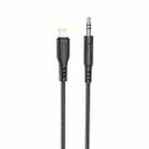hoco UPA18 8 Pin Digital Audio Conversion Cable, Length: 1m(Black) - 1
