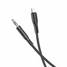 hoco UPA18 8 Pin Digital Audio Conversion Cable, Length: 1m(Black) - 2