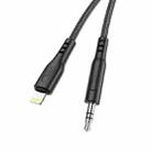 hoco UPA18 8 Pin Digital Audio Conversion Cable, Length: 1m(Black) - 3