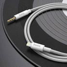 hoco UPA19 8 Pin Digital Audio Conversion Cable, Length: 1m(Silver) - 3