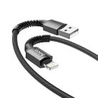 hoco X71 Especial 2.4A USB to 8 Pin Charging Data Cable for iPhone, iPad(Black) - 1