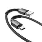 hoco X71 Especial 3A USB to USB-C / Type-C Charging Data Cable(Black) - 1