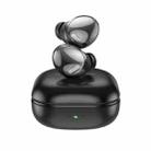 Borofone BW10 Magic Rhyme True Wireless Bluetooth Earphone with Charging Box(Night Black) - 1