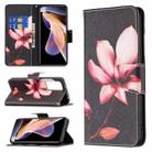 For Xiaomi Redmi Note 11 Pro / 11 Pro+ Colored Drawing Leather Phone Case(Lotus) - 1