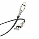 Borofone BU29 1.2m 2.4A USB to 8 Pin Exquisite Charging Data Cable(Black) - 1