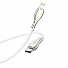 Borofone BU29 1.2m PD 20W Type-C to 8 Pin Exquisite Charging Data Cable(White) - 1