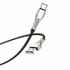 Borofone BU29 1.2m 3A USB to Type-C Exquisite Charging Data Cable(Black) - 1