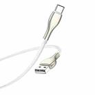 Borofone BU29 1.2m 3A USB to Type-C Exquisite Charging Data Cable(White) - 1