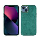 For iPhone 13 Plush Roughout PU Phone Case(Green) - 1
