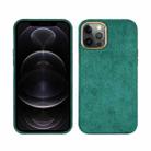 For iPhone 12 / 12 Pro Plush Roughout PU Phone Case(Green) - 1