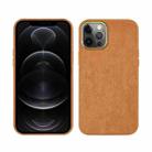 For iPhone 12 / 12 Pro Plush Roughout PU Phone Case(Brown) - 1