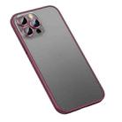For iPhone 12 Pro Matte PC + TPU Phone Case(Red) - 1