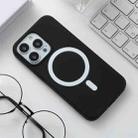 Silicone Magsafe Phone Case For iPhone 13 Pro Max(Black) - 1