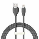 Baseus CAGD000001 Jelly Series 2.4A USB to 8 Pin Liquid Silicone Fast Charging Data Cable, Cable Length:1.2m(Black) - 1