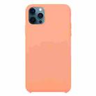 For iPhone 12 / 12 Pro Solid Silicone Phone Case(Begonia) - 1