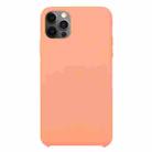 For iPhone 12 Pro Max Solid Silicone Phone Case(Begonia) - 1