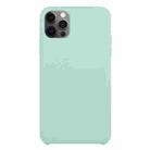 For iPhone 12 Pro Max Solid Silicone Phone Case(Emerald Green) - 1