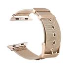 For Apple Watch Series 9&8&7 41mm / SE 3&SE 2&6&SE&5&4 40mm / 3&2&1 38mm Milanese Stainless Steel Double Buckle Watch Band(Retro Gold) - 1