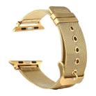 For Apple Watch Series 9&8&7 41mm / SE 3&SE 2&6&SE&5&4 40mm / 3&2&1 38mm Milanese Stainless Steel Double Buckle Watch Band(Gold) - 1