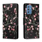 For Samsung Galaxy M52 5G Colored Drawing Leather Phone Case(Black Background Safflower) - 1
