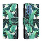 For Samsung Galaxy M52 5G Colored Drawing Leather Phone Case(Banana Leaf) - 1