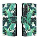 For Samsung Galaxy S22 5G Colored Drawing Leather Phone Case(Banana Leaf) - 1