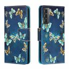 For Samsung Galaxy S22 5G Colored Drawing Leather Phone Case(Jewelry Butterfly) - 1