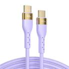 JOYROOM S-2050N18-10 100W Type-C / USB-C to Type-C / USB-C Liquid Silicone Charging Cable, Length:2m(Purple) - 1