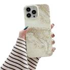 For iPhone 13 Pro Glitter Marble Phone Case (Grey Platinum) - 1