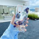 For Samsung Galaxy S22+ 5G Translucent Plating Flower Phone Case(Cineraria) - 1