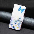 For Samsung Galaxy A73 5G Colored Drawing Pattern Leather Phone Case(Flower Butterfly) - 6