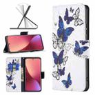 For Xiaomi 12 Colored Drawing Leather Phone Case(Butterflies) - 1