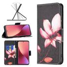 For Xiaomi 12 Colored Drawing Leather Phone Case(Lotus) - 1