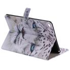 For iPad 5 & 6 Colored Drawing Pattern Horizontal Flip PU Leather Case with Holder & Card Slots & Wallet & Sleep / Wake-up Function(White Panther) - 5