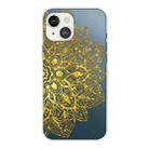 For iPhone 13 mini Gradient Lace Transparent TPU Phone Case (Gold) - 1