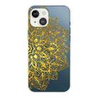 For iPhone 13 Gradient Lace Transparent TPU Phone Case(Gold) - 1